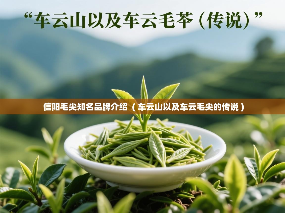 信阳毛尖知名品牌介绍 ( 车云山以及车云毛尖的传说 ) 信阳毛尖知名品牌介绍 ( 车云山以及车云毛尖的传说 )