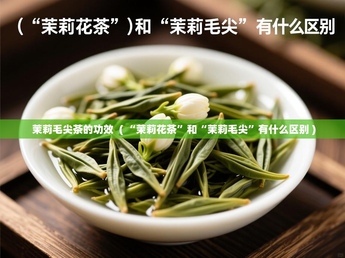  茉莉毛尖茶的功效  ( “茉莉花茶”和“茉莉毛尖”有什么区别 )