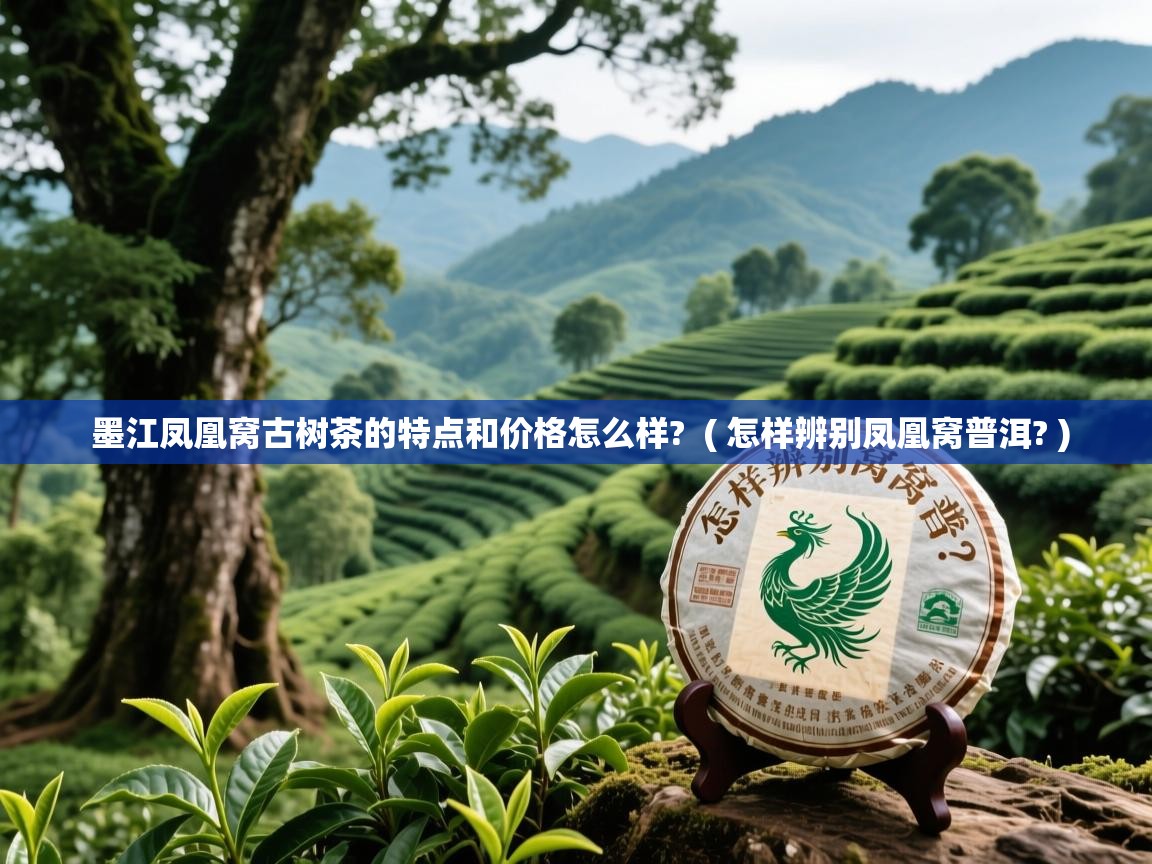 墨江凤凰窝古树茶的特点和价格怎么样? ( 怎样辨别凤凰窝普洱? ) 墨江凤凰窝古树茶的特点和价格怎么样? ( 怎样辨别凤凰窝普洱? )