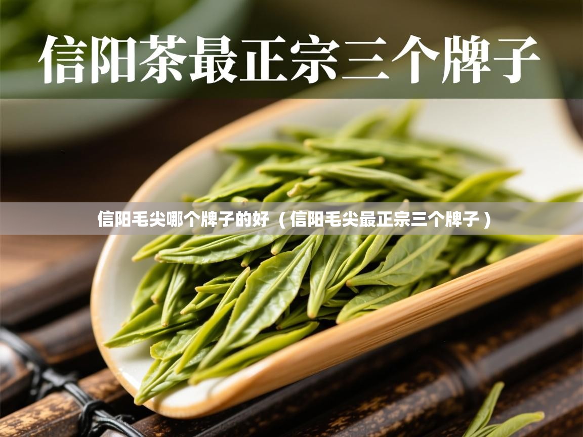  信阳毛尖哪个牌子的好  ( 信阳毛尖最正宗三个牌子 )