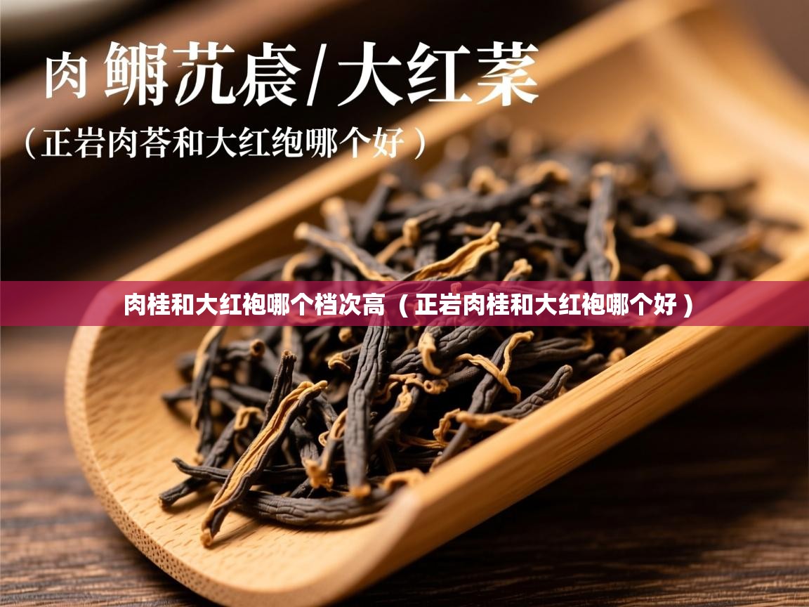 肉桂和大红袍哪个档次高  ( 正岩肉桂和大红袍哪个好 )