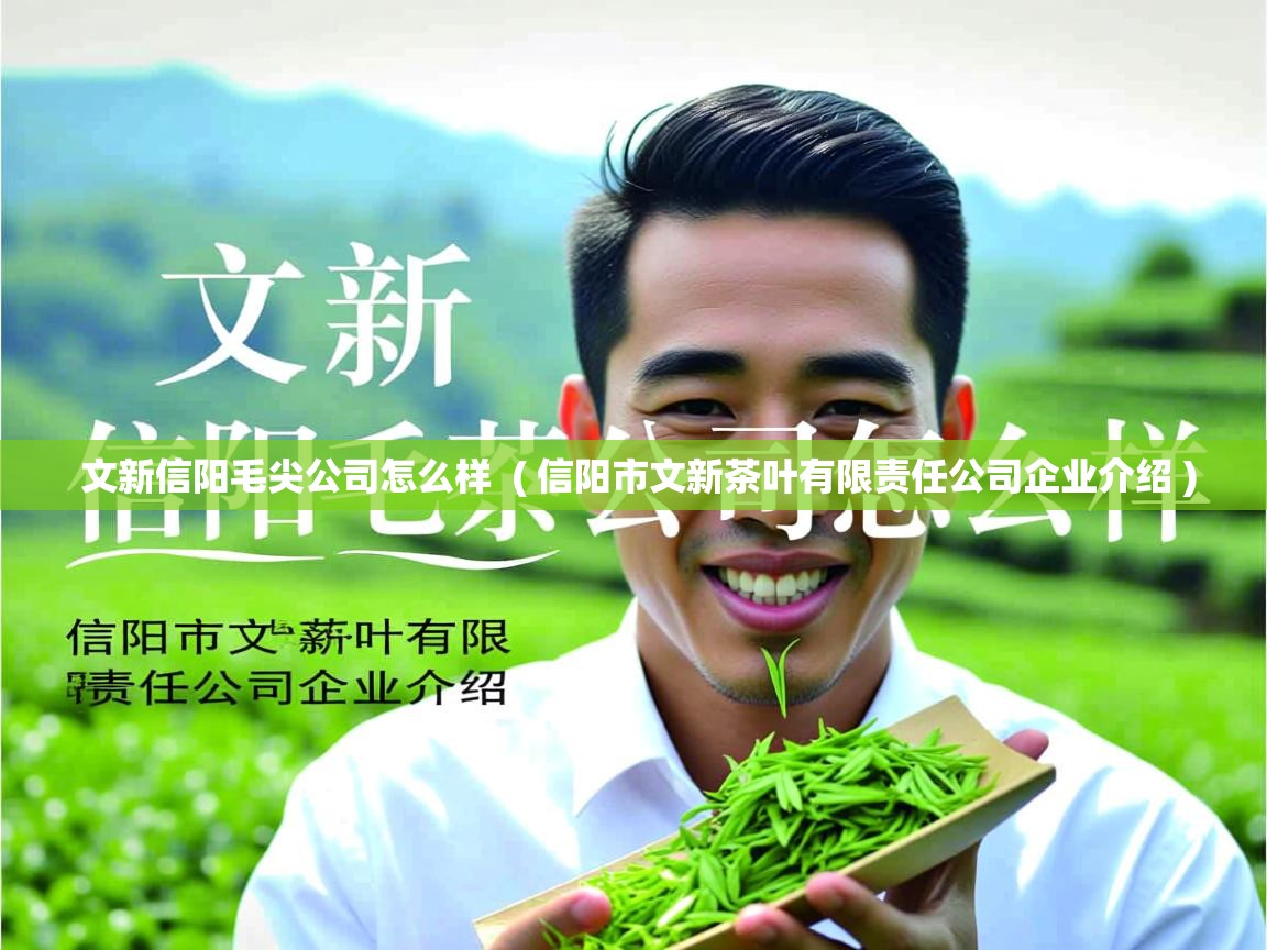 文新信阳毛尖公司怎么样 ( 信阳市文新茶叶有限责任公司企业介绍 ) 文新信阳毛尖公司怎么样 ( 信阳市文新茶叶有限责任公司企业介绍 )