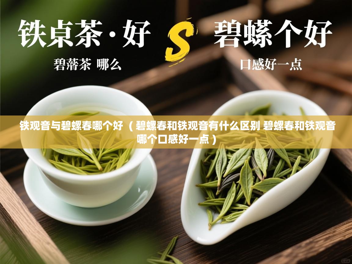 铁观音与碧螺春哪个好 ( 碧螺春和铁观音有什么区别 碧螺春和铁观音哪个口感好一点 ) 铁观音与碧螺春哪个好 ( 碧螺春和铁观音有什么区别 碧螺春和铁观音哪个口感好一点 )