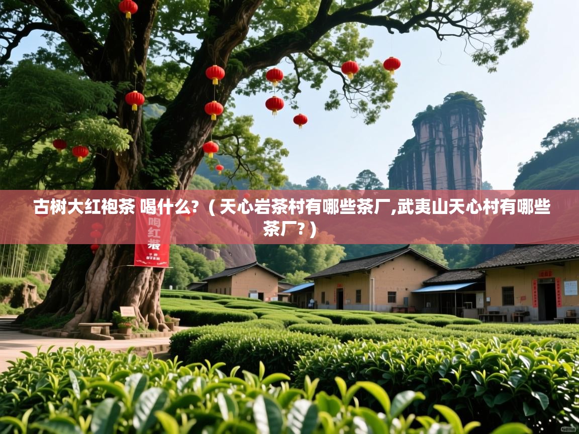 古树大红袍茶 喝什么? ( 天心岩茶村有哪些茶厂,武夷山天心村有哪些茶厂? ) 古树大红袍茶 喝什么? ( 天心岩茶村有哪些茶厂,武夷山天心村有哪些茶厂? )