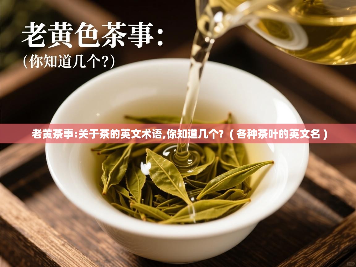 老黄茶事:关于茶的英文术语,你知道几个? ( 各种茶叶的英文名 ) 老黄茶事:关于茶的英文术语,你知道几个? ( 各种茶叶的英文名 )