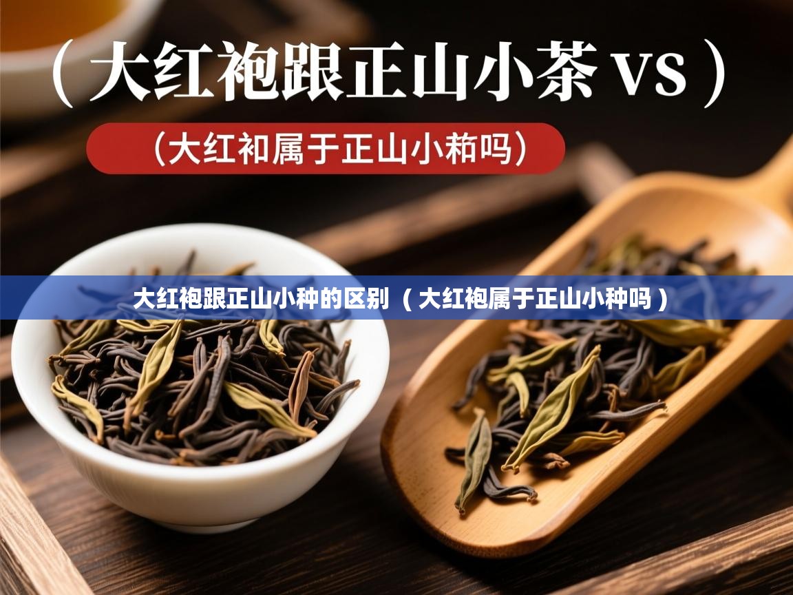 大红袍跟正山小种的区别 ( 大红袍属于正山小种吗 ) 大红袍跟正山小种的区别 ( 大红袍属于正山小种吗 )