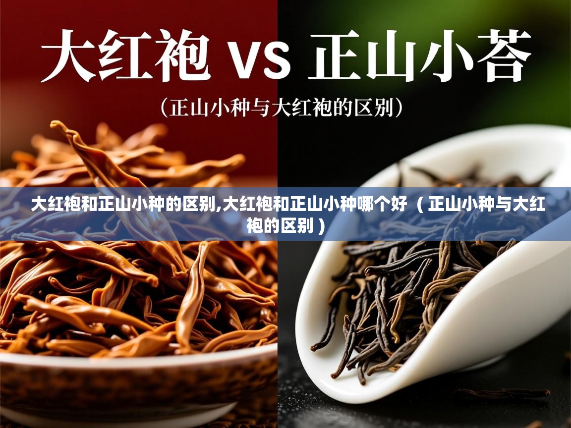 大红袍和正山小种的区别,大红袍和正山小种哪个好 ( 正山小种与大红袍的区别 ) 大红袍和正山小种的区别,大红袍和正山小种哪个好 ( 正山小种与大红袍的区别 )