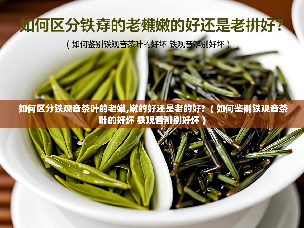  如何区分铁观音茶叶的老嫩,嫩的好还是老的好?  ( 如何鉴别铁观音茶叶的好坏 铁观音辨别好坏 )