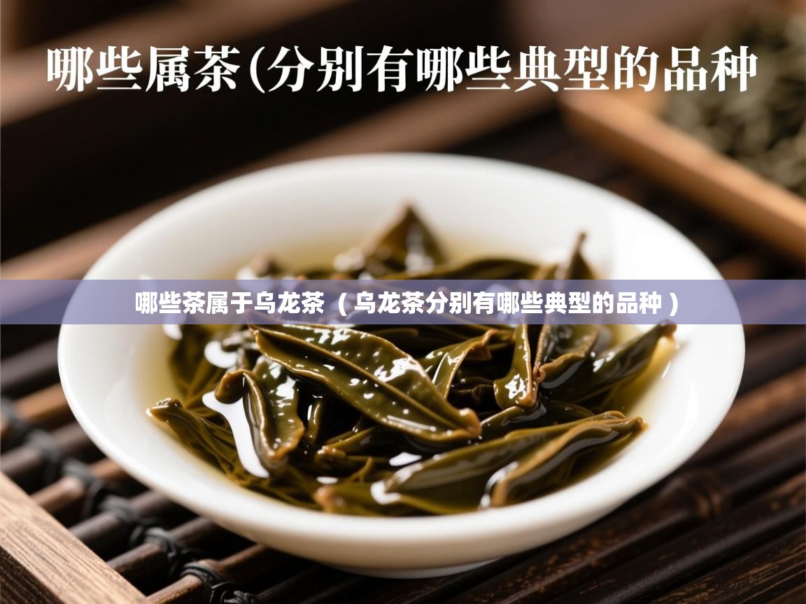  哪些茶属于乌龙茶  ( 乌龙茶分别有哪些典型的品种 )