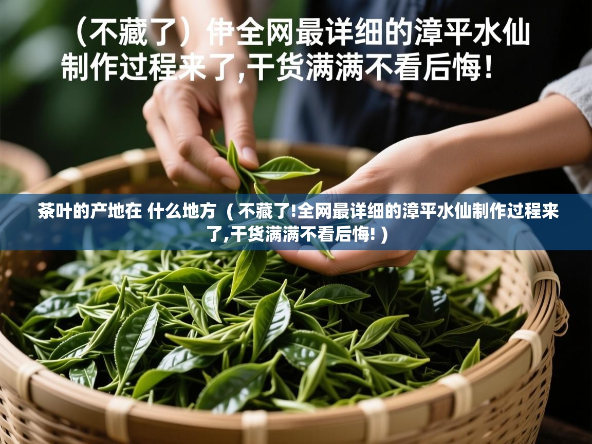 茶叶的产地在 什么地方 ( 不藏了!全网最详细的漳平水仙制作过程来了,干货满满不看后悔! ) 茶叶的产地在 什么地方 ( 不藏了!全网最详细的漳平水仙制作过程来了,干货满满不看后悔! )