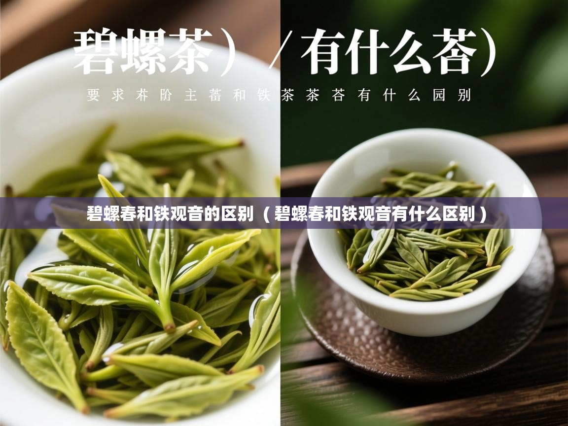 碧螺春和铁观音的区别 ( 碧螺春和铁观音有什么区别 ) 碧螺春和铁观音的区别 ( 碧螺春和铁观音有什么区别 )
