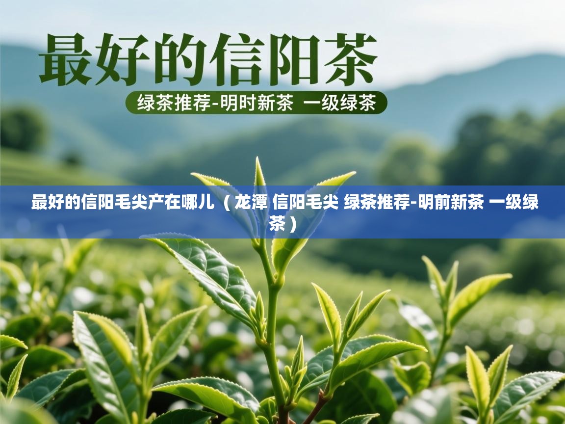最好的信阳毛尖产在哪儿 ( 龙潭 信阳毛尖 绿茶推荐-明前新茶 一级绿茶 ) 最好的信阳毛尖产在哪儿 ( 龙潭 信阳毛尖 绿茶推荐-明前新茶 一级绿茶 )