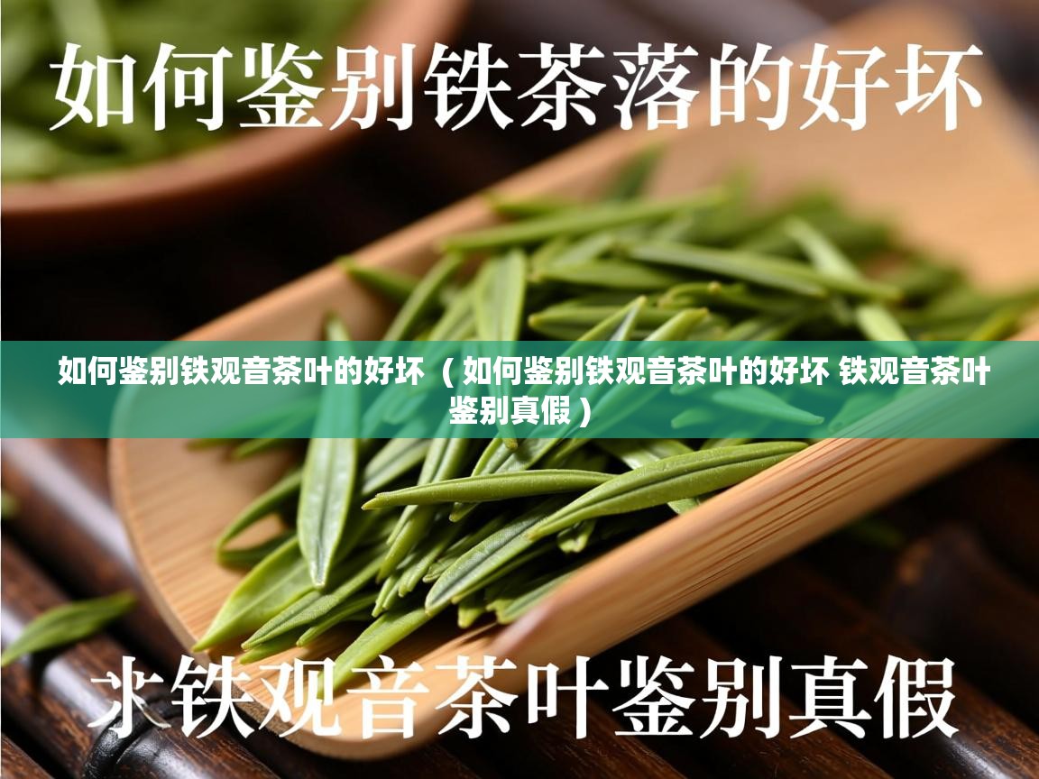  如何鉴别铁观音茶叶的好坏  ( 如何鉴别铁观音茶叶的好坏 铁观音茶叶鉴别真假 )