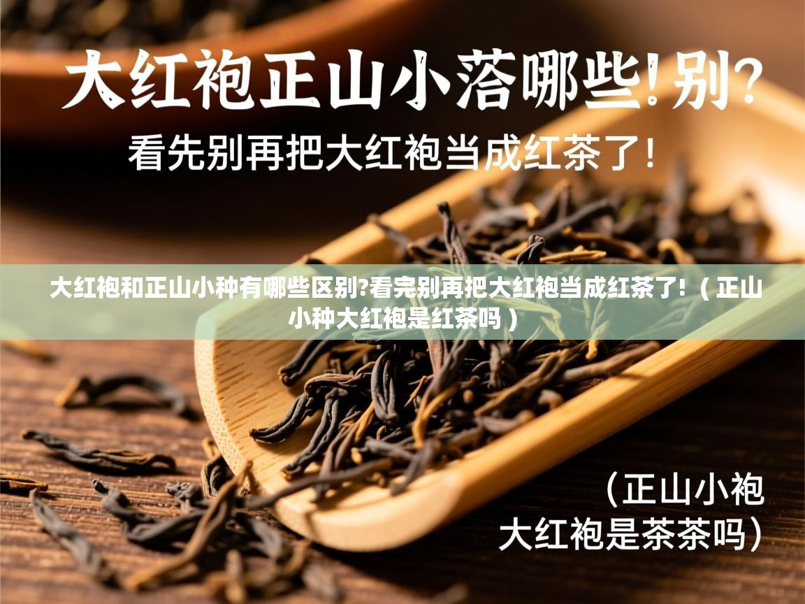  大红袍和正山小种有哪些区别?看完别再把大红袍当成红茶了!  ( 正山小种大红袍是红茶吗 )