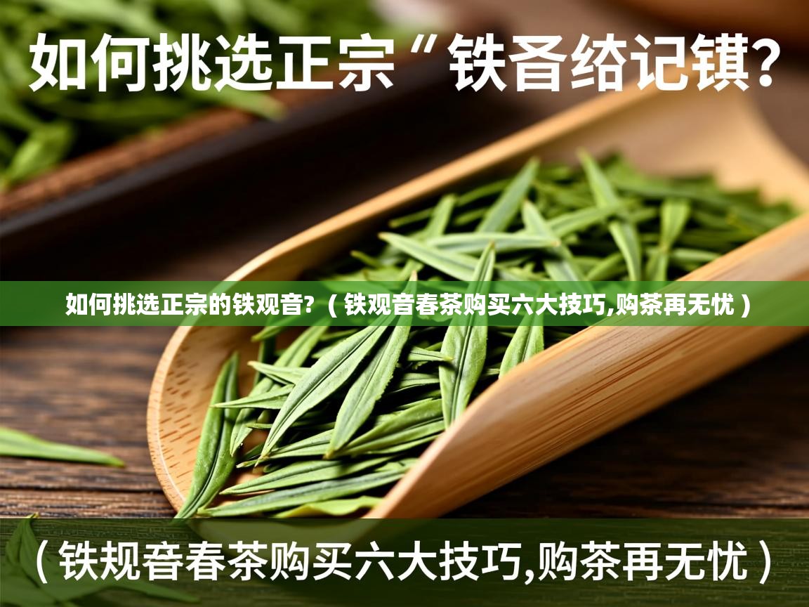  如何挑选正宗的铁观音?  ( 铁观音春茶购买六大技巧,购茶再无忧 )