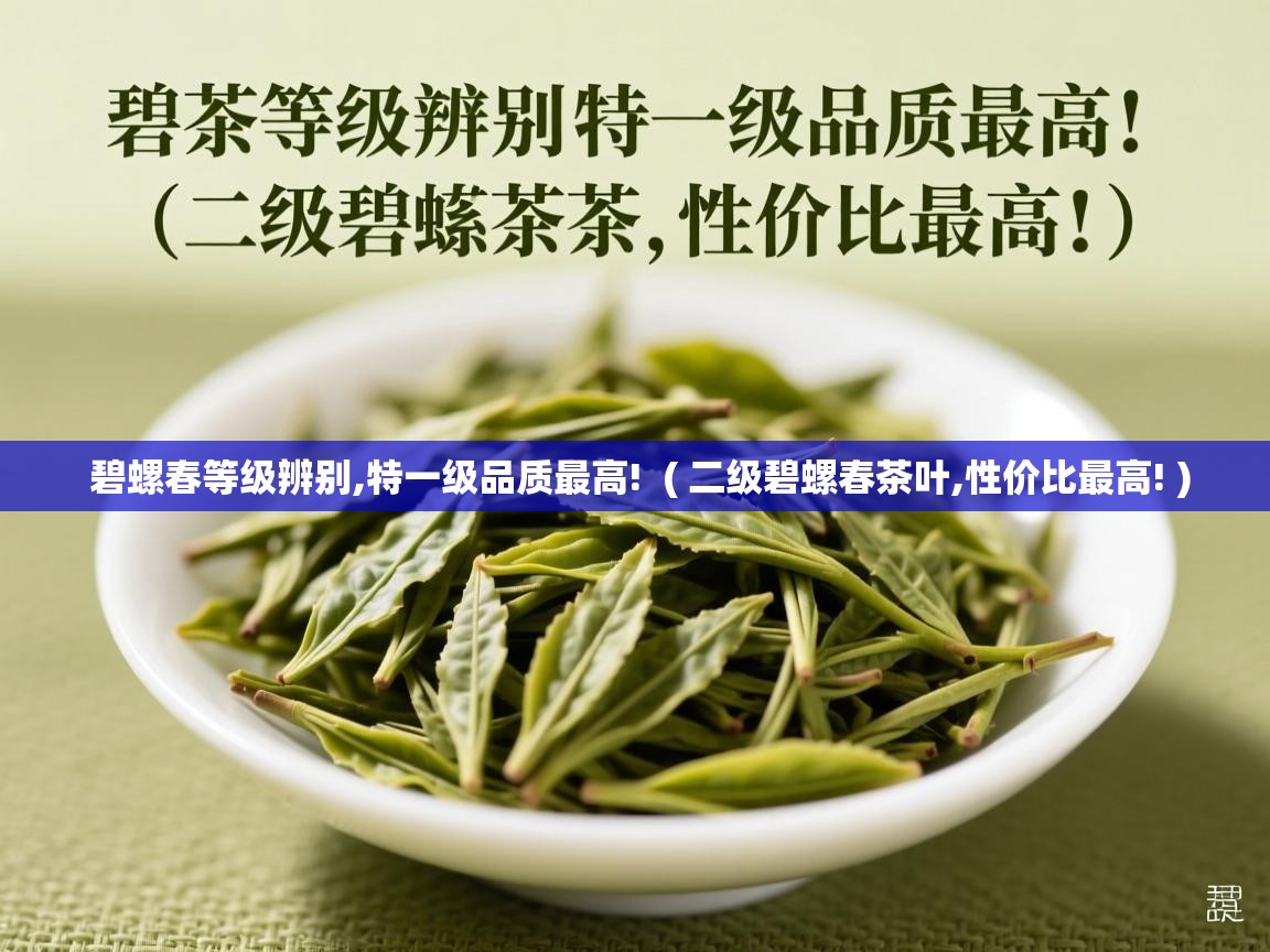  碧螺春等级辨别,特一级品质最高!  ( 二级碧螺春茶叶,性价比最高! )