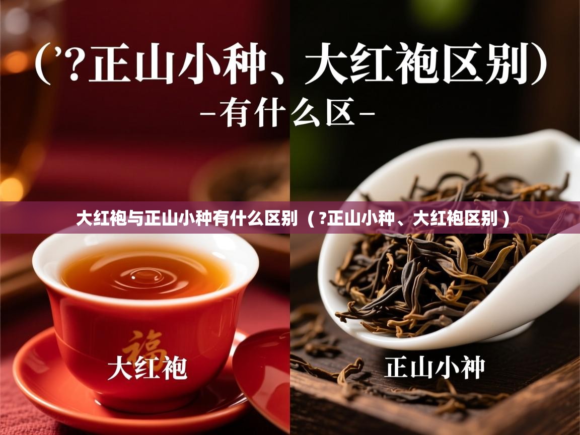  大红袍与正山小种有什么区别  ( ?正山小种、大红袍区别 )