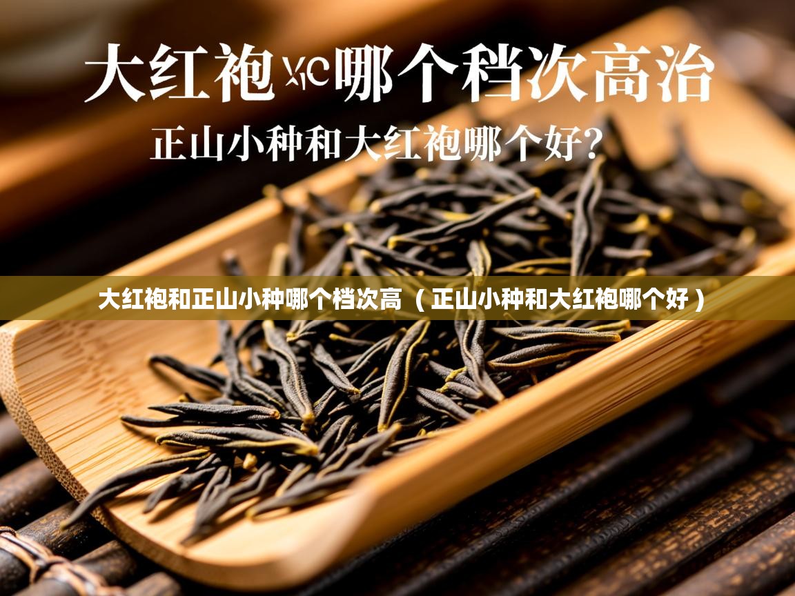  大红袍和正山小种哪个档次高  ( 正山小种和大红袍哪个好 )