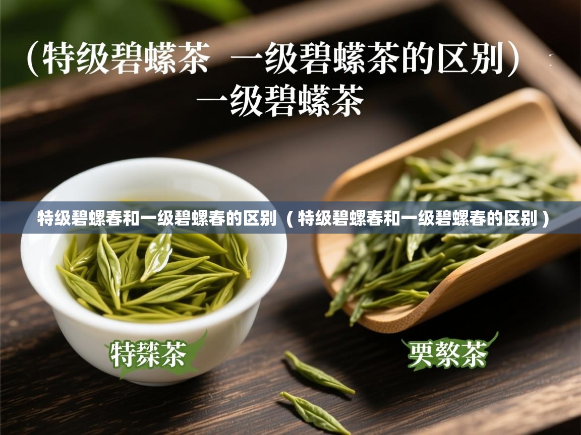 特级碧螺春和一级碧螺春的区别 ( 特级碧螺春和一级碧螺春的区别 ) 特级碧螺春和一级碧螺春的区别 ( 特级碧螺春和一级碧螺春的区别 )