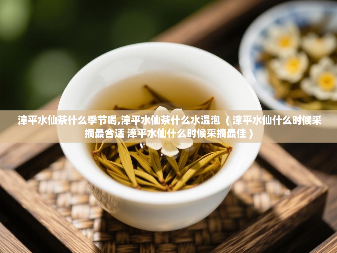 漳平水仙茶什么季节喝,漳平水仙茶什么水温泡 ( 漳平水仙什么时候采摘最合适 漳平水仙什么时候采摘最佳 ) 漳平水仙茶什么季节喝,漳平水仙茶什么水温泡 ( 漳平水仙什么时候采摘最合适 漳平水仙什么时候采摘最佳 )