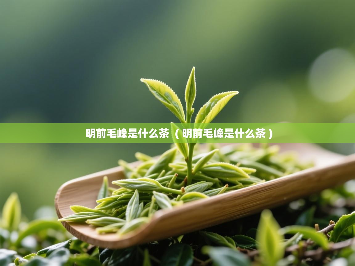 明前毛峰是什么茶 ( 明前毛峰是什么茶 ) 明前毛峰是什么茶 ( 明前毛峰是什么茶 )