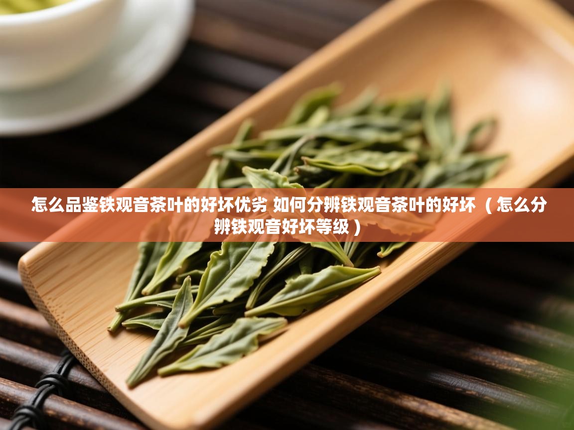  怎么品鉴铁观音茶叶的好坏优劣 如何分辨铁观音茶叶的好坏  ( 怎么分辨铁观音好坏等级 )