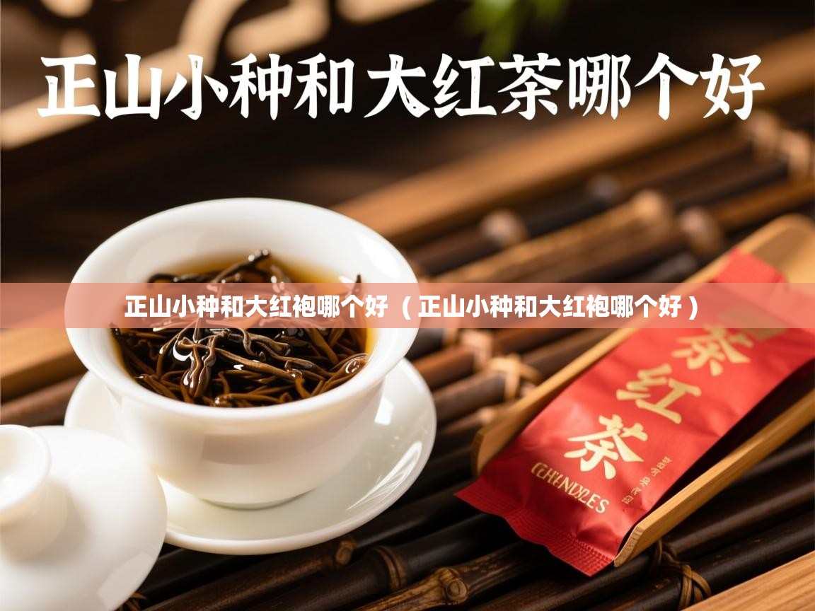  正山小种和大红袍哪个好  ( 正山小种和大红袍哪个好 )