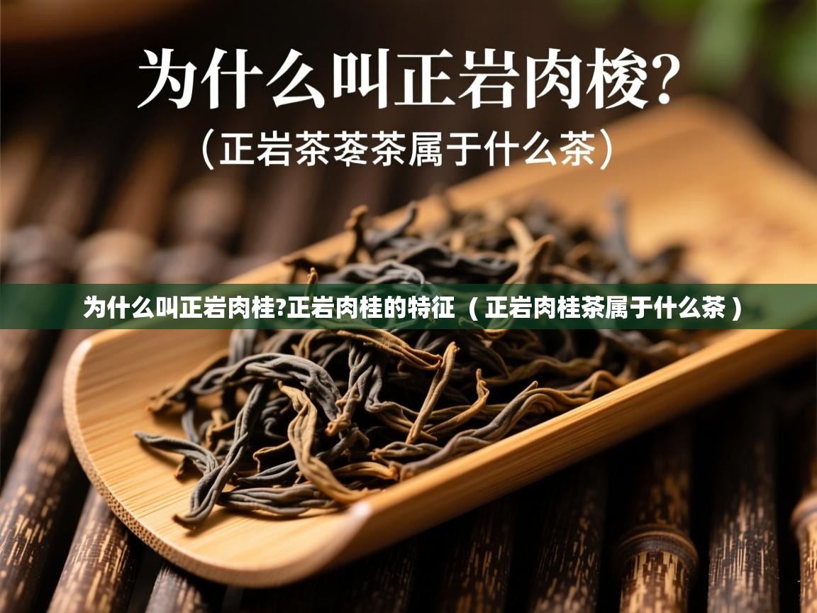 为什么叫正岩肉桂?正岩肉桂的特征 ( 正岩肉桂茶属于什么茶 ) 为什么叫正岩肉桂?正岩肉桂的特征 ( 正岩肉桂茶属于什么茶 )