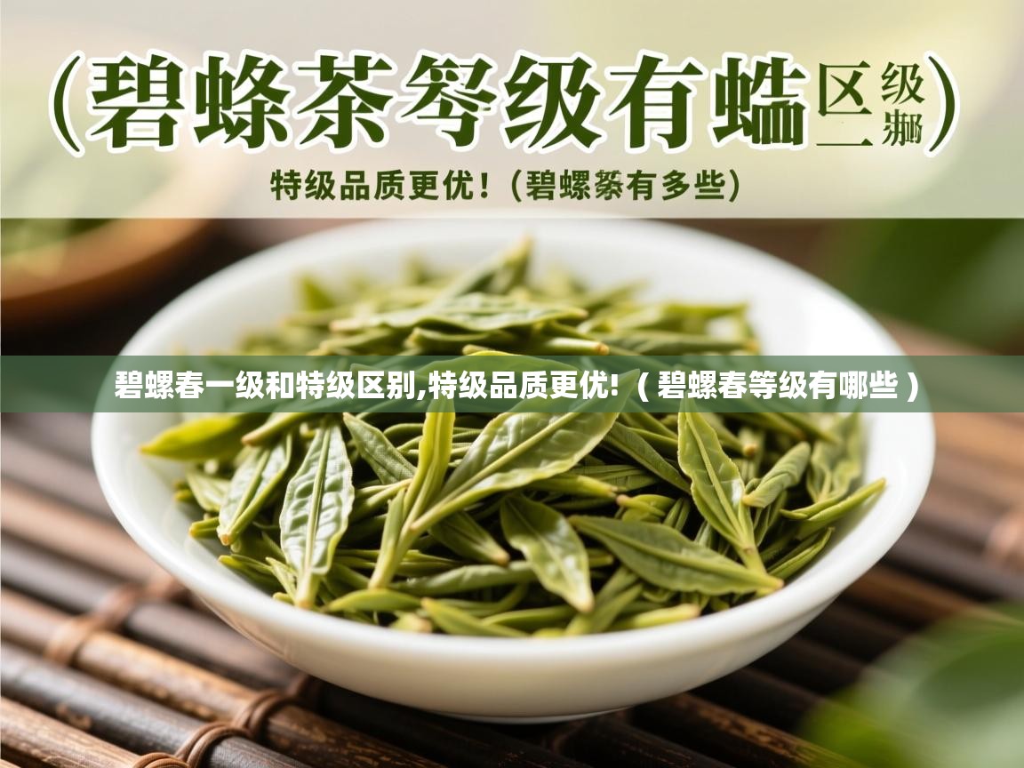  碧螺春一级和特级区别,特级品质更优!  ( 碧螺春等级有哪些 )