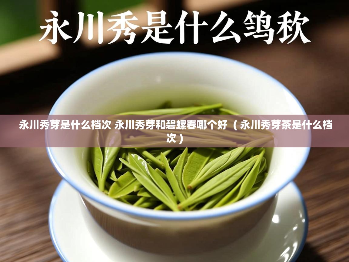 永川秀芽是什么档次 永川秀芽和碧螺春哪个好 ( 永川秀芽茶是什么档次 ) 永川秀芽是什么档次 永川秀芽和碧螺春哪个好 ( 永川秀芽茶是什么档次 )