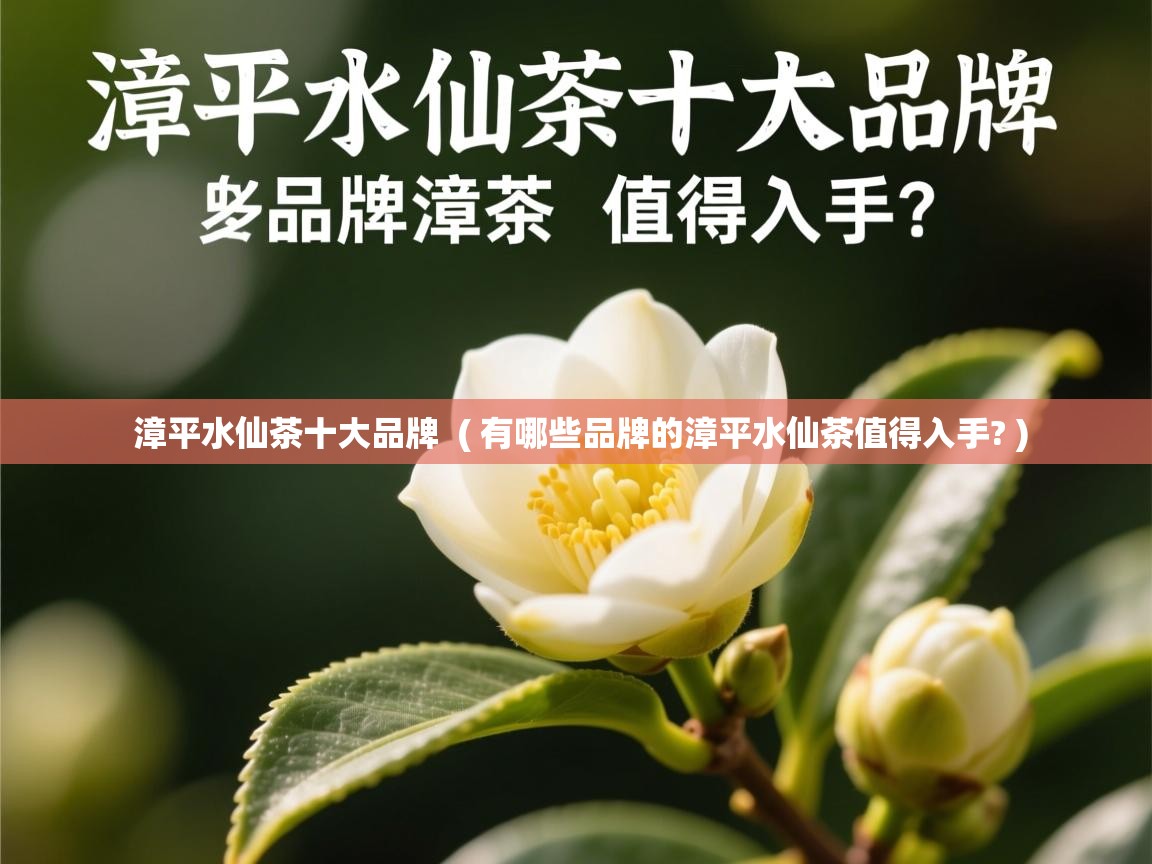 漳平水仙茶十大品牌 ( 有哪些品牌的漳平水仙茶值得入手? ) 漳平水仙茶十大品牌 ( 有哪些品牌的漳平水仙茶值得入手? )