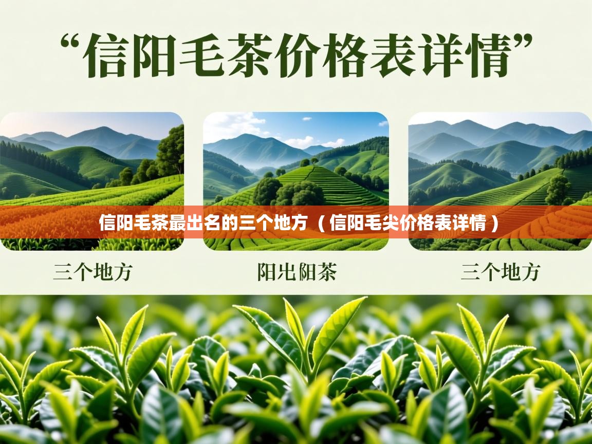  信阳毛茶最出名的三个地方  ( 信阳毛尖价格表详情 )