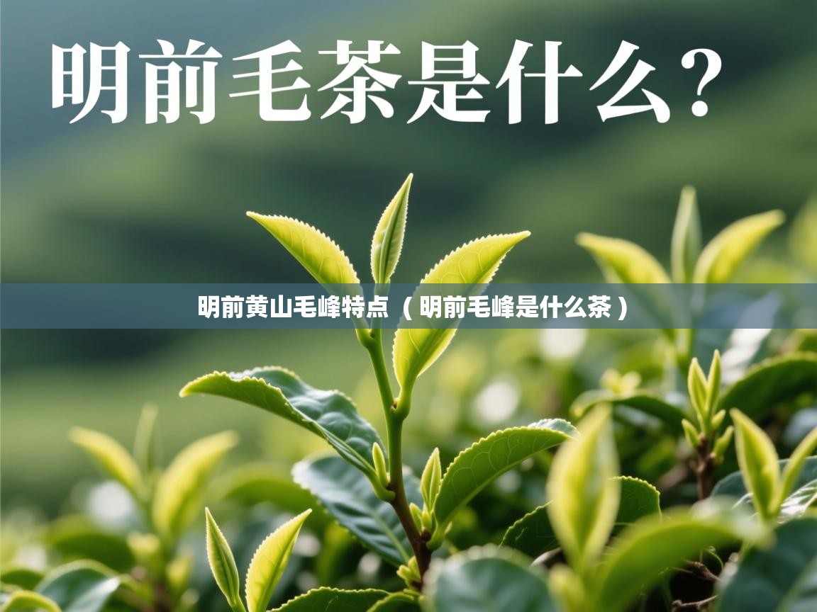 明前黄山毛峰特点 ( 明前毛峰是什么茶 ) 明前黄山毛峰特点 ( 明前毛峰是什么茶 )
