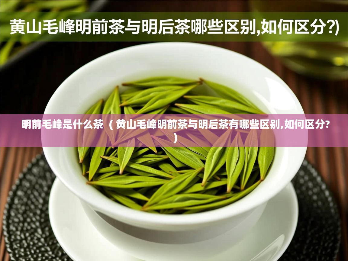  明前毛峰是什么茶  ( 黄山毛峰明前茶与明后茶有哪些区别,如何区分? )