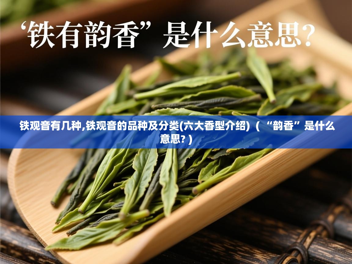 铁观音有几种,铁观音的品种及分类(六大香型介绍) ( “韵香”是什么意思? ) 铁观音有几种,铁观音的品种及分类(六大香型介绍) ( “韵香”是什么意思? )