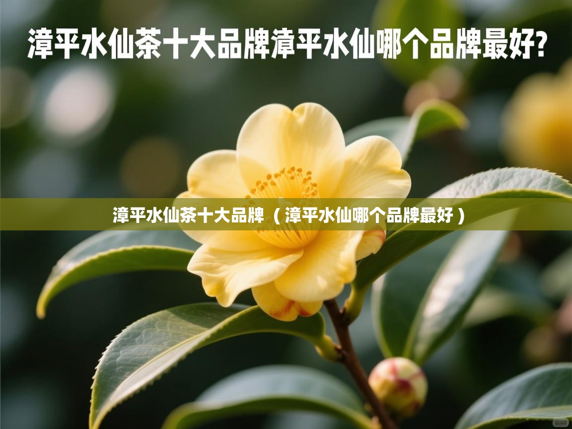  漳平水仙茶十大品牌  ( 漳平水仙哪个品牌最好 )