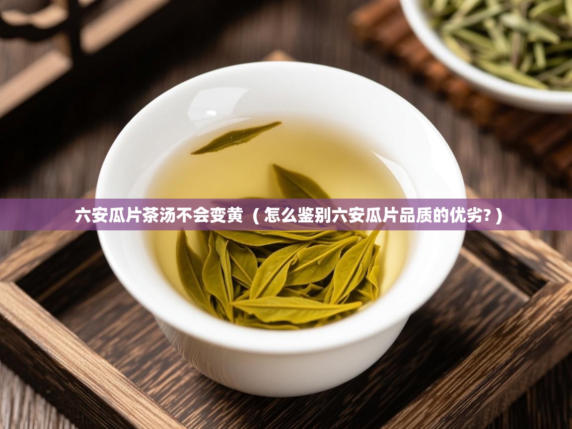  六安瓜片茶汤不会变黄  ( 怎么鉴别六安瓜片品质的优劣? )