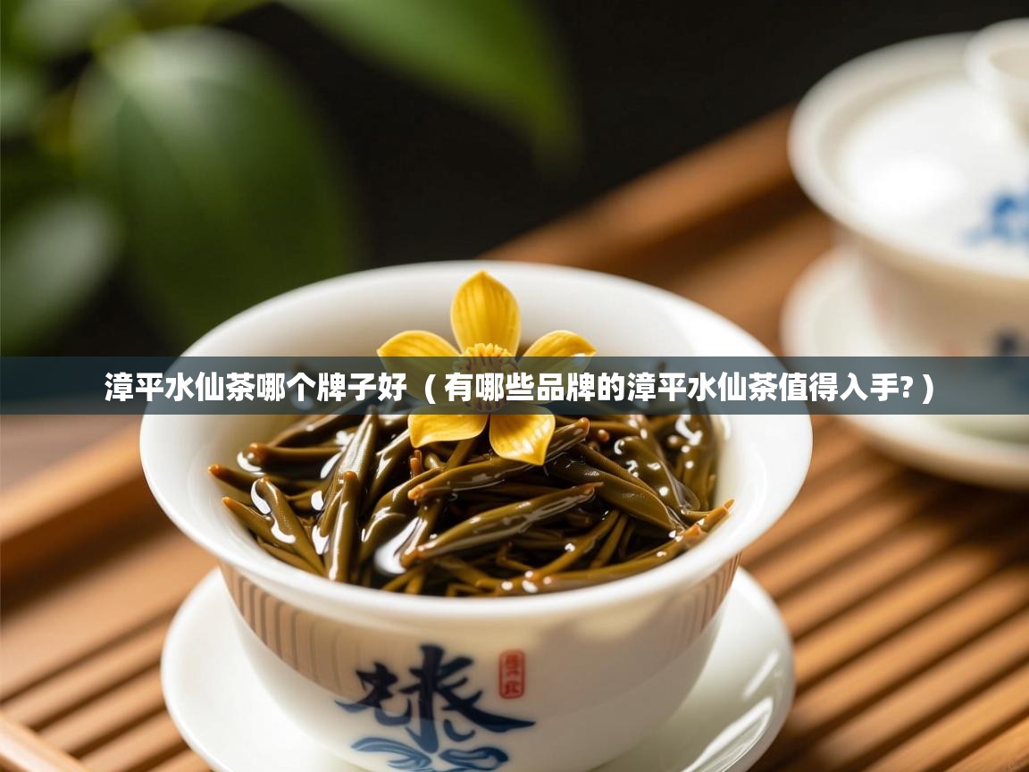  漳平水仙茶哪个牌子好  ( 有哪些品牌的漳平水仙茶值得入手? )