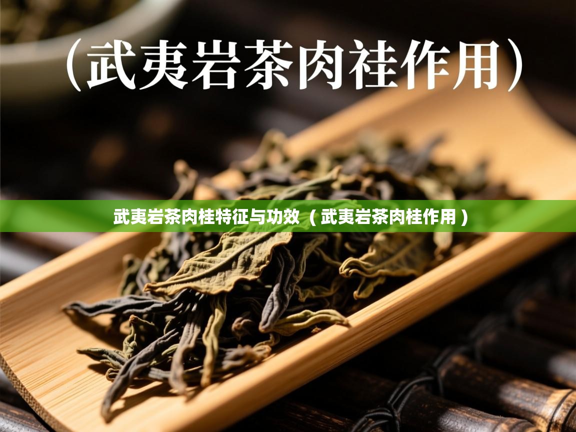  武夷岩茶肉桂特征与功效  ( 武夷岩茶肉桂作用 )