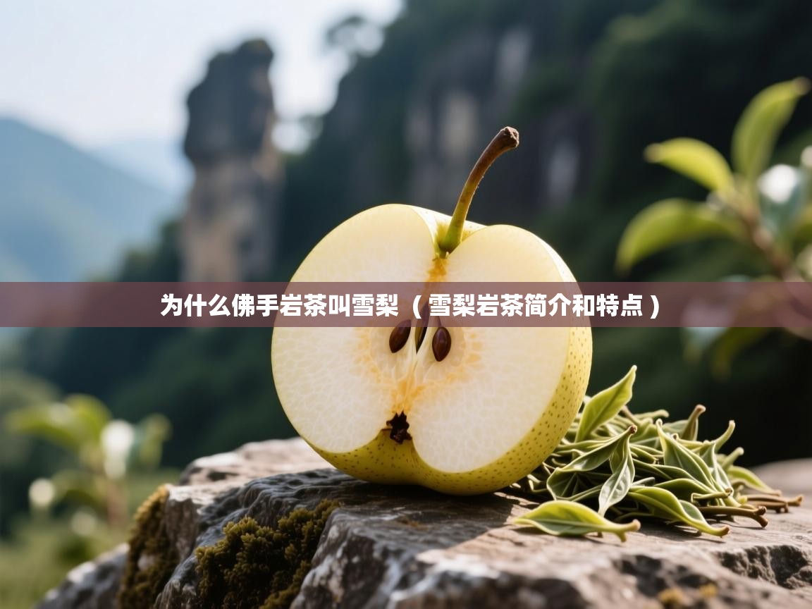  为什么佛手岩茶叫雪梨  ( 雪梨岩茶简介和特点 )