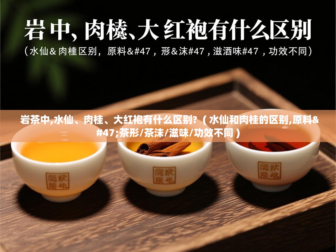  岩茶中,水仙、肉桂、大红袍有什么区别?  ( 水仙和肉桂的区别,原料/茶形/茶沫/滋味/功效不同 )