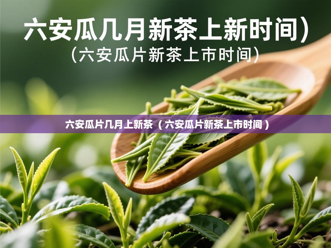  六安瓜片几月上新茶  ( 六安瓜片新茶上市时间 )
