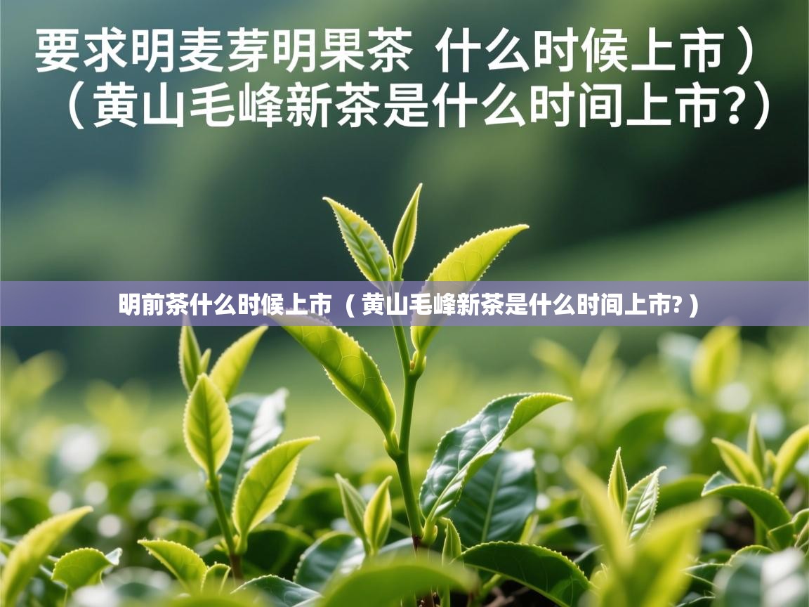 明前茶什么时候上市 ( 黄山毛峰新茶是什么时间上市? ) 明前茶什么时候上市 ( 黄山毛峰新茶是什么时间上市? )