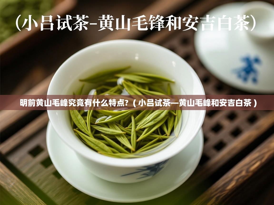  明前黄山毛峰究竟有什么特点?  ( 小吕试茶—黄山毛峰和安吉白茶 )