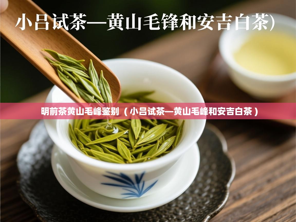  明前茶黄山毛峰鉴别  ( 小吕试茶—黄山毛峰和安吉白茶 )