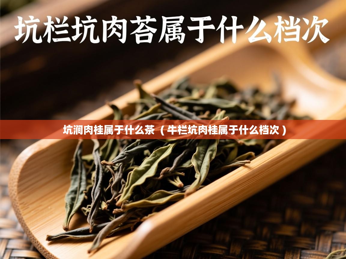  坑涧肉桂属于什么茶  ( 牛栏坑肉桂属于什么档次 )