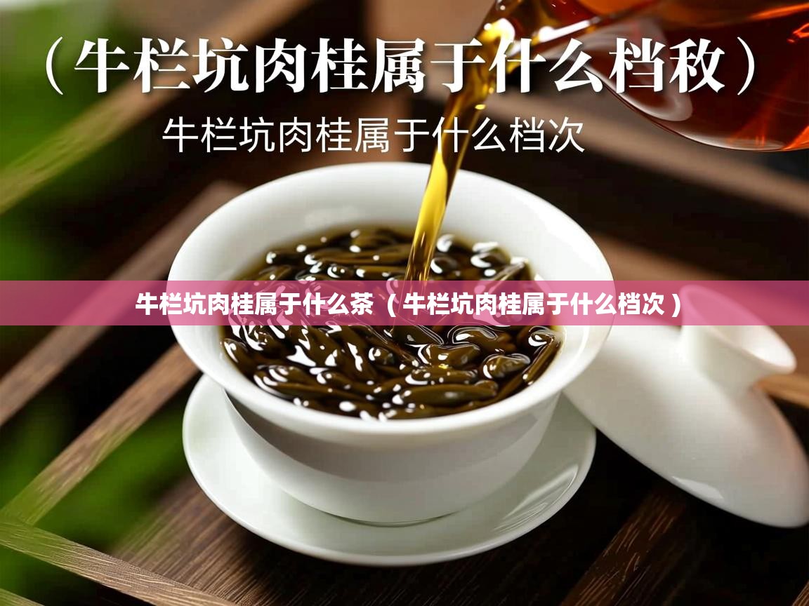  牛栏坑肉桂属于什么茶  ( 牛栏坑肉桂属于什么档次 )