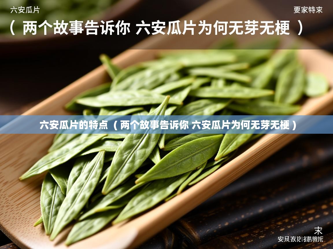  六安瓜片的特点  ( 两个故事告诉你 六安瓜片为何无芽无梗 )