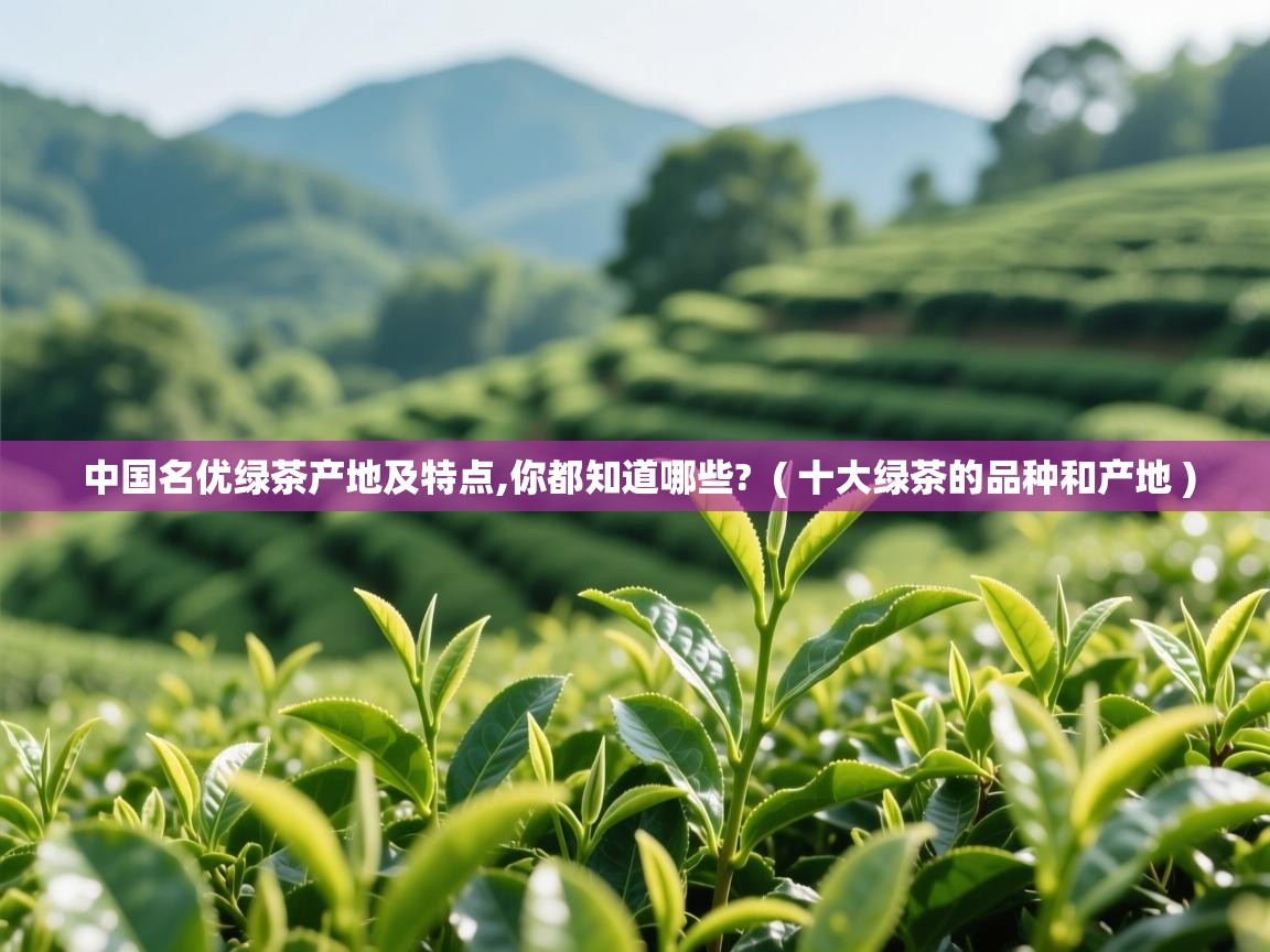  中国名优绿茶产地及特点,你都知道哪些?  ( 十大绿茶的品种和产地 )