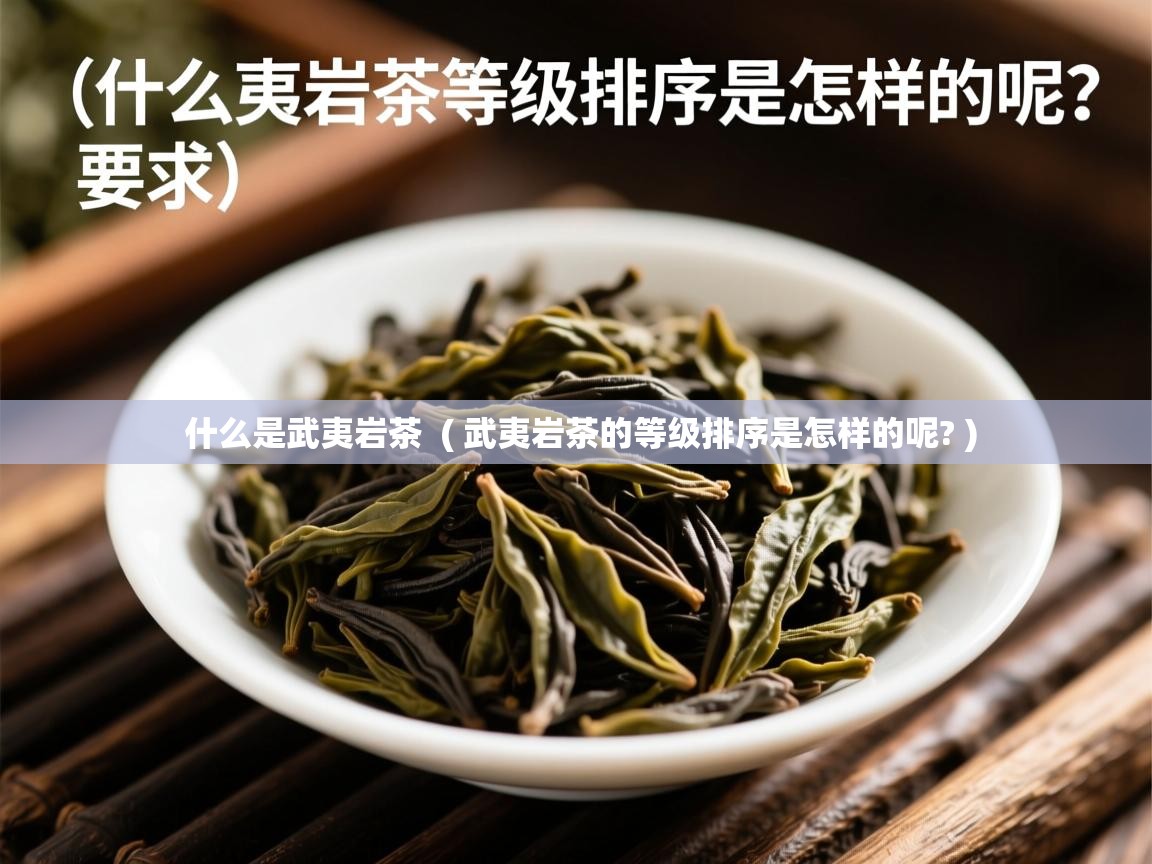  什么是武夷岩茶  ( 武夷岩茶的等级排序是怎样的呢? )